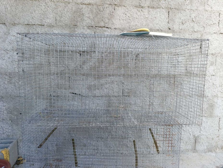Gaiolas para aves