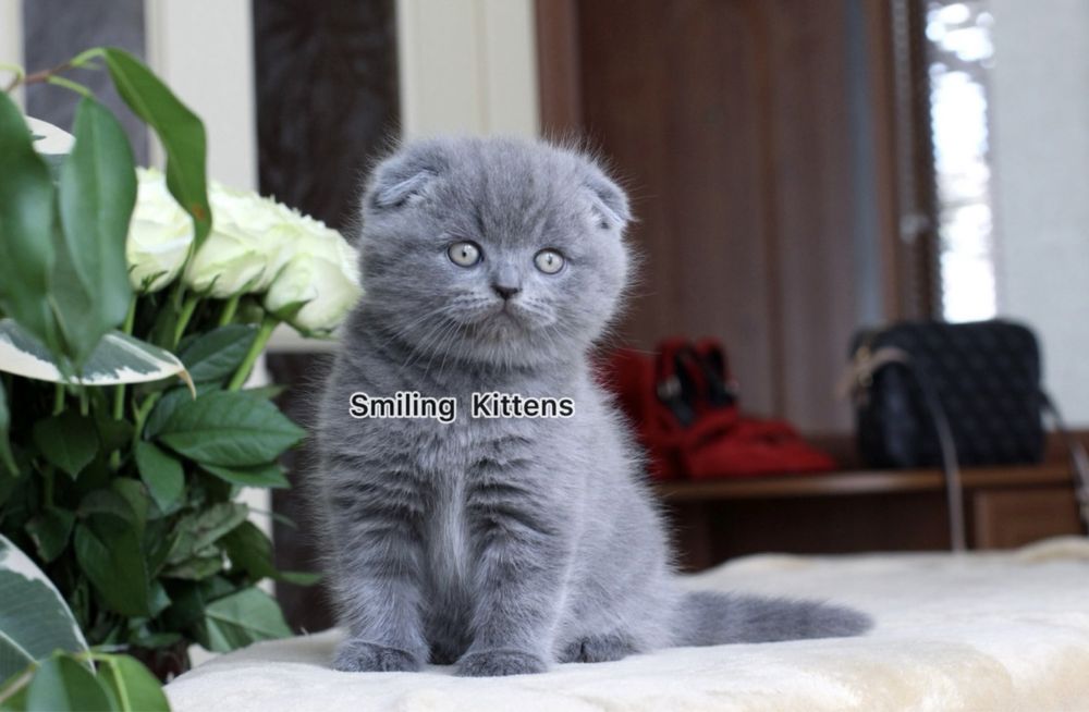 Чекає саме на тебе