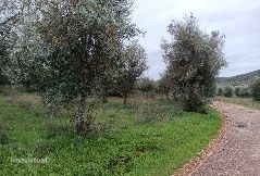 SOUSEL I terreno agrícola