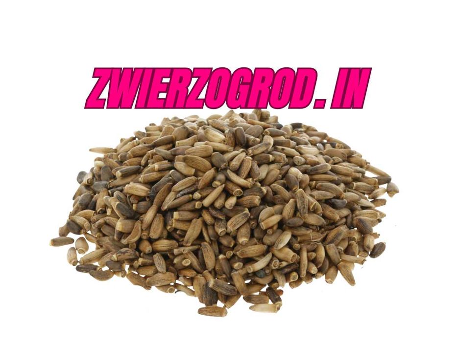 MDM Ostropest Plamisty dla gołębi królików 2,5 kg ** zwierzogrod.in **