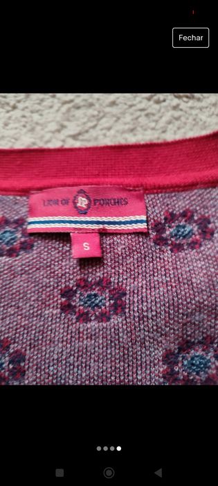 Cardigan Lion of Porches S