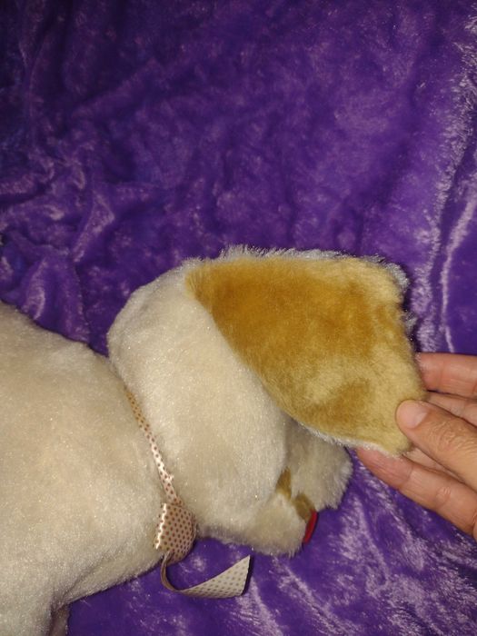 Cãozinho de peluche