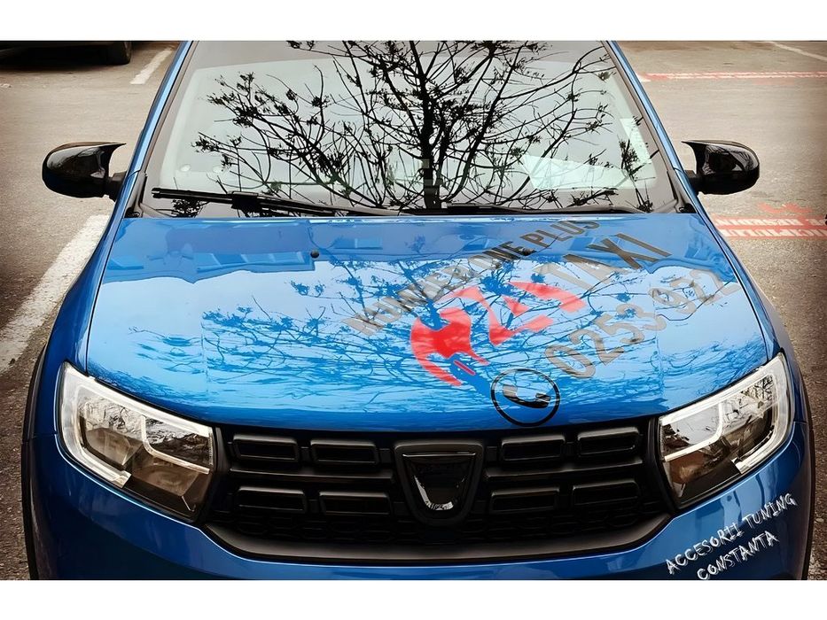 Renault Logan III 2013+ Накладки на зеркала BMW-style (2 шт)