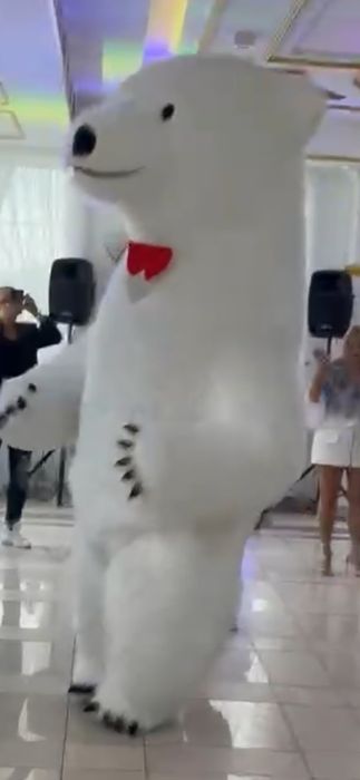 Miś, duży  mis na imprezy