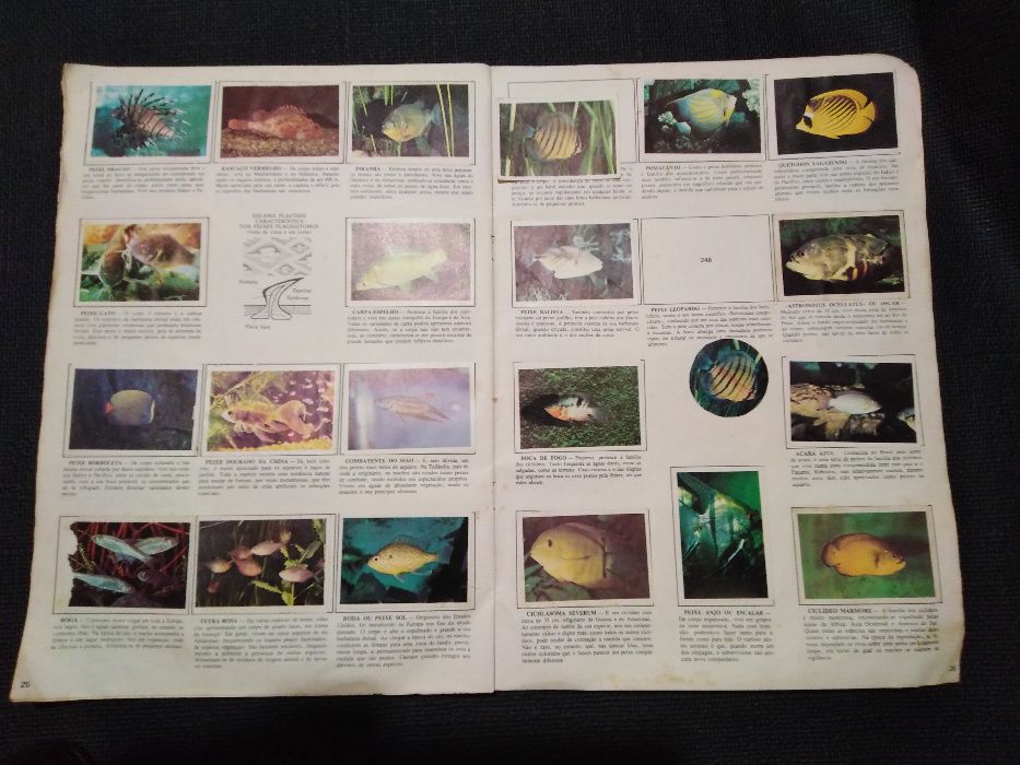 Cadernetas de cromos Anos 80