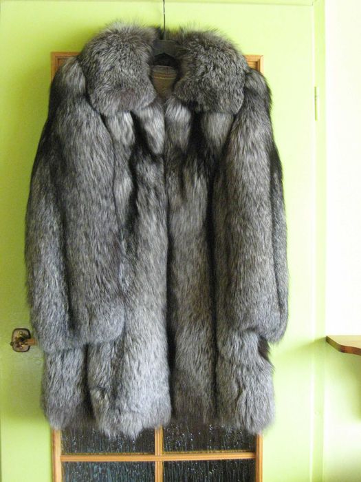 futro ze srebrnych lisów