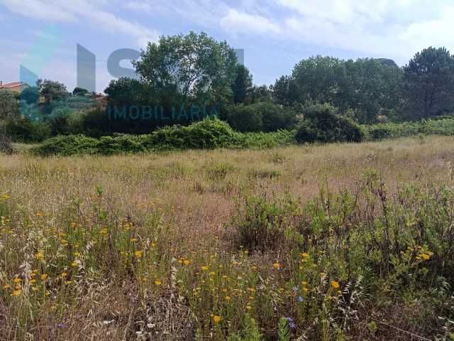 Oportunidade ÚNICA VENDE-SE TERRENO MONTE REDONDO TORRES VEDRAS