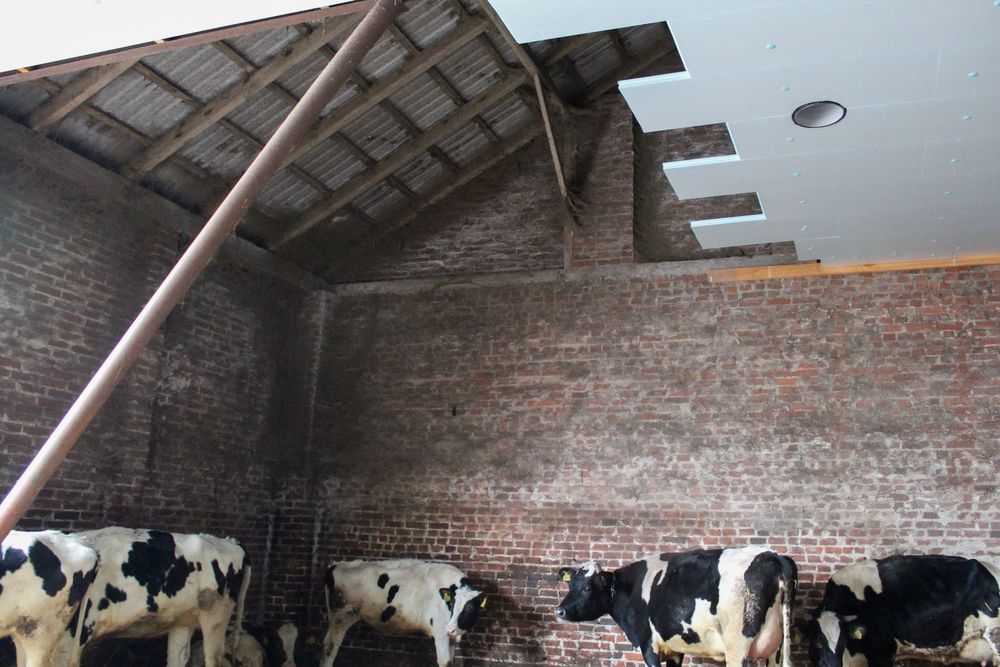 Płyta Rolnicza Styrodur XPS AGRO Ocieplenie Obory Kurnika Tuczarni