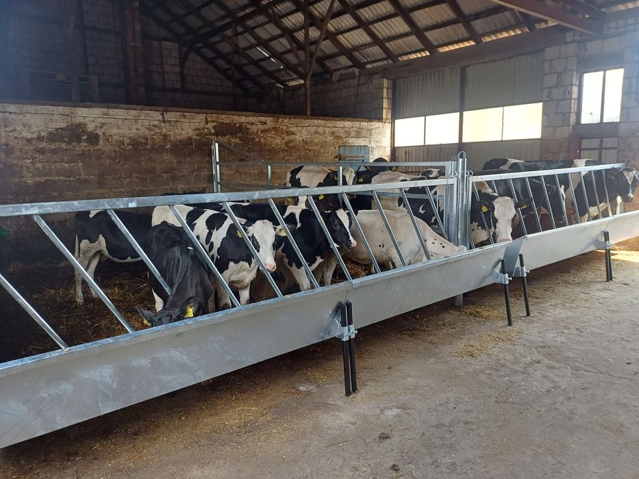 Wygrodzenia przegrody dla bydła