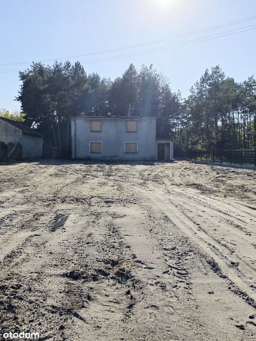 Dom wolnostojący na dużej działce wśród zieleni.