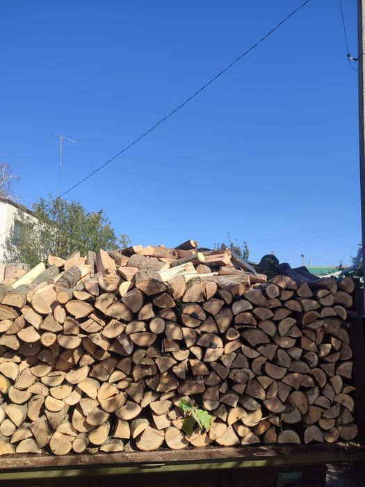 Продам дрова дуб, кльон.