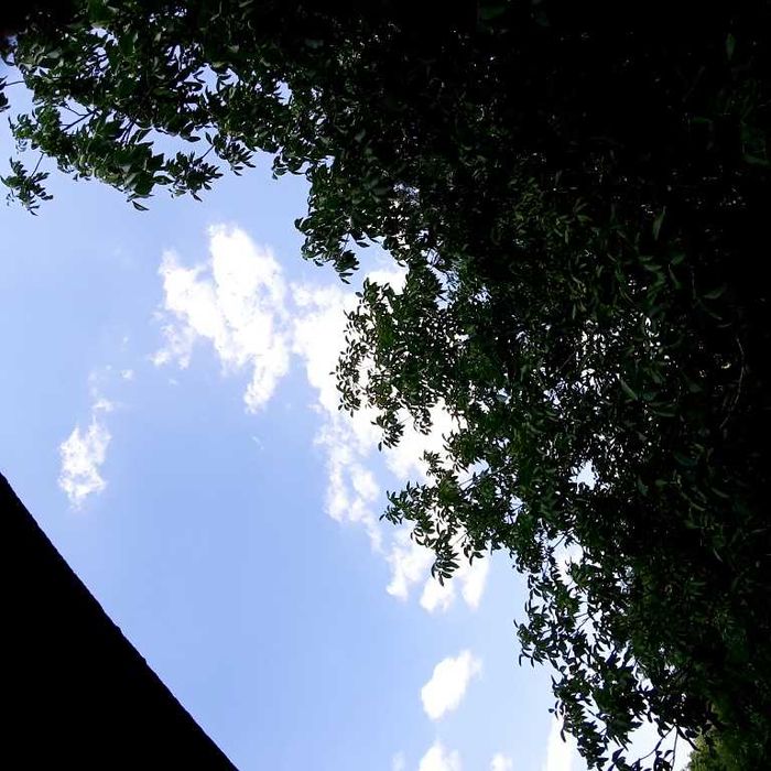 Маковище, Київська область, родажа дома 320 м.кв цена 250000 у.е