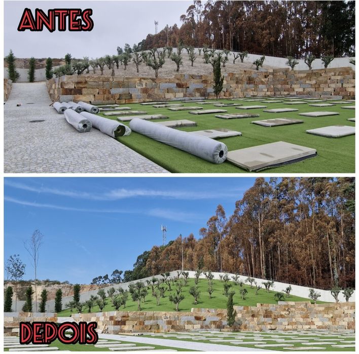 Serviços Jardinagem Ricardo Pinto