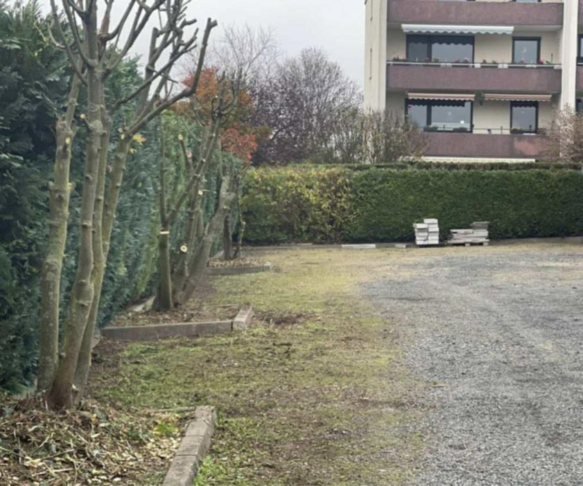 profesjonalne usługi ogrodnicze i porządkowe dla każdego ogrodu