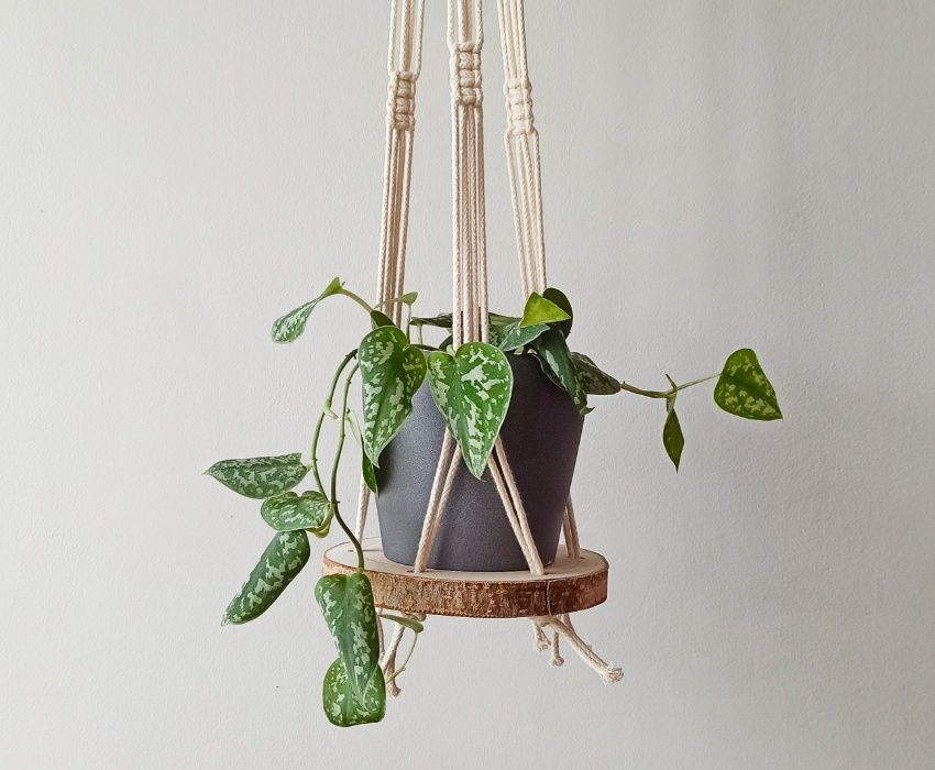 Suporte para vasos em Macramé64286465695873123