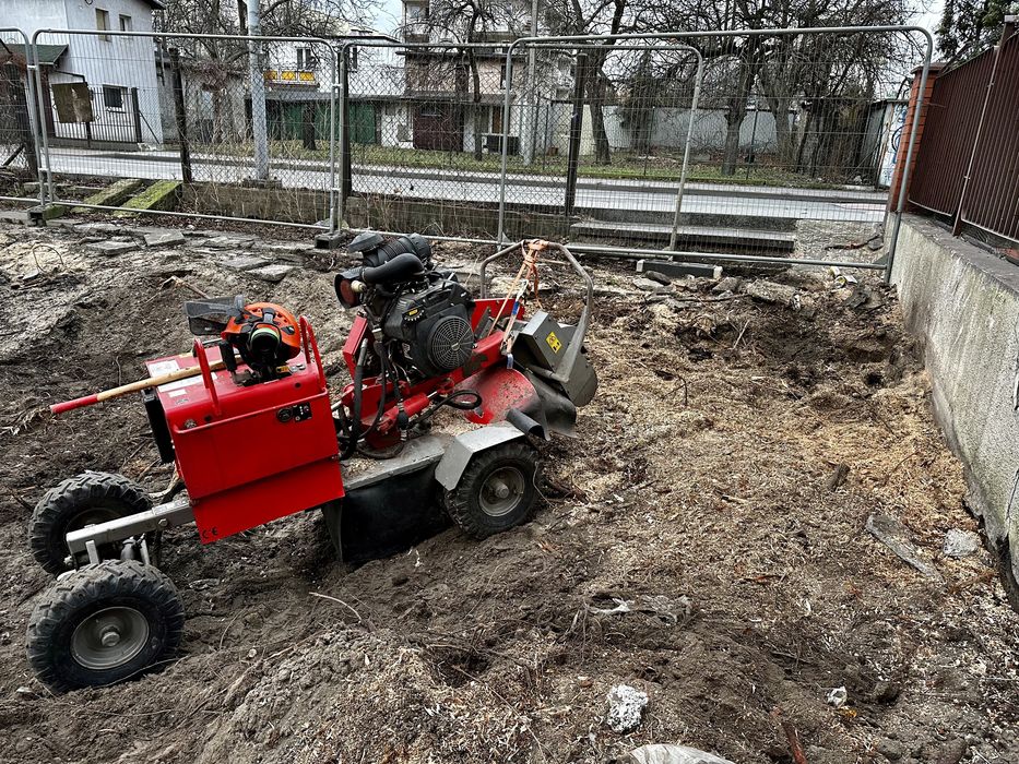 Alpinistyczna wycinka i pielęgnacja drzew, usługi rębakiem i frezarką