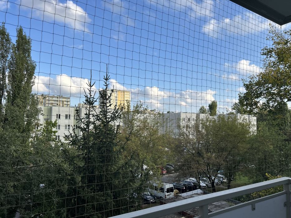 Zdjęcie 5