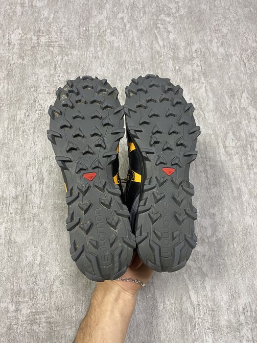 Трекінгові оригінальні кросівки Salomon Fellraiser