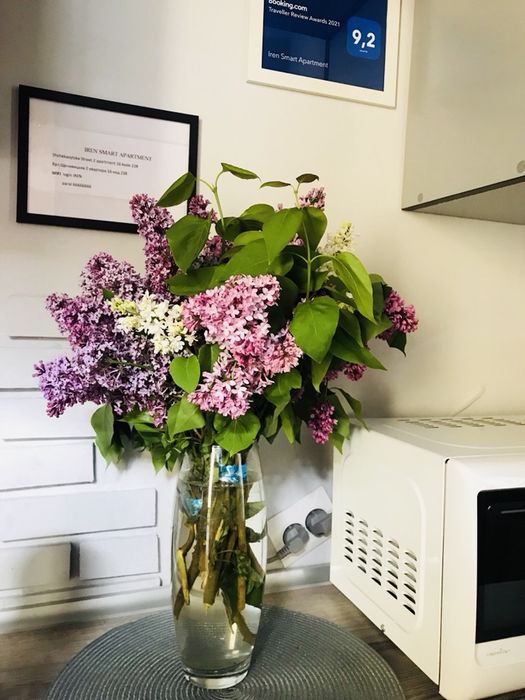 Жд, ближній центр 1 км квартира