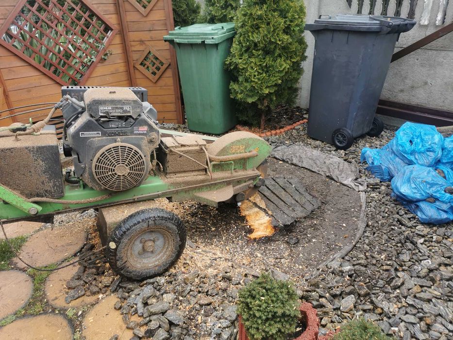 Wycinka drzew / rębak do gałęzi / czyszczenie działek / frezowanie pni