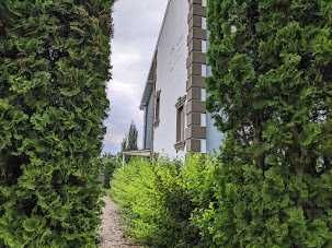 Подобова оренда великого будинку в Києві. НР Вільно, Банкетна зала