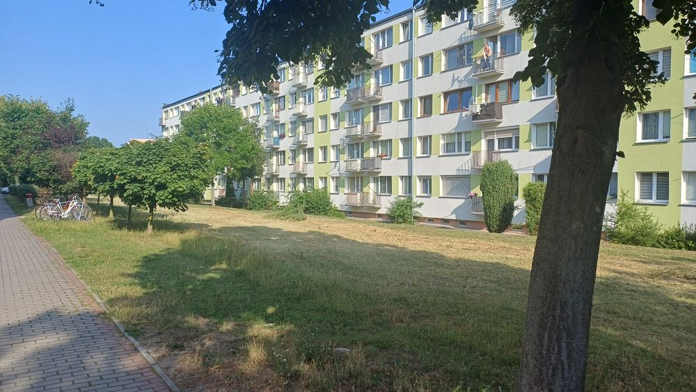 Mieszkanie 58 mkw, balkon, 1 piętro, kw, w Piotrkowie.
