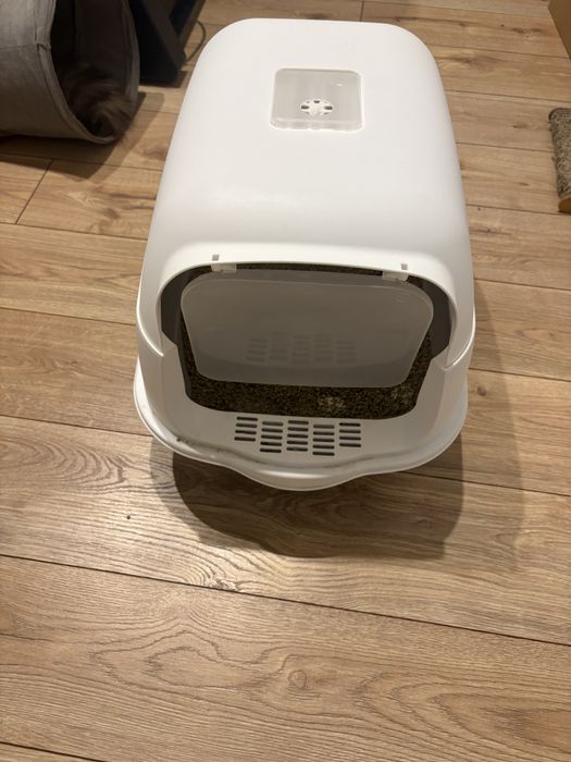 Kot Ragdoll (1 rok)+kuweta+drapak