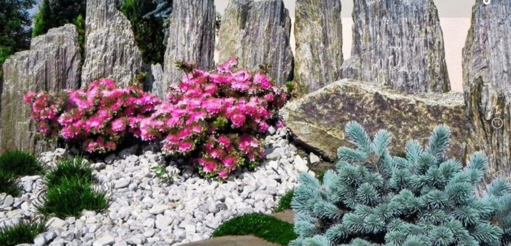 Kora kamienna, kamień ozdobny biały od 250 zł