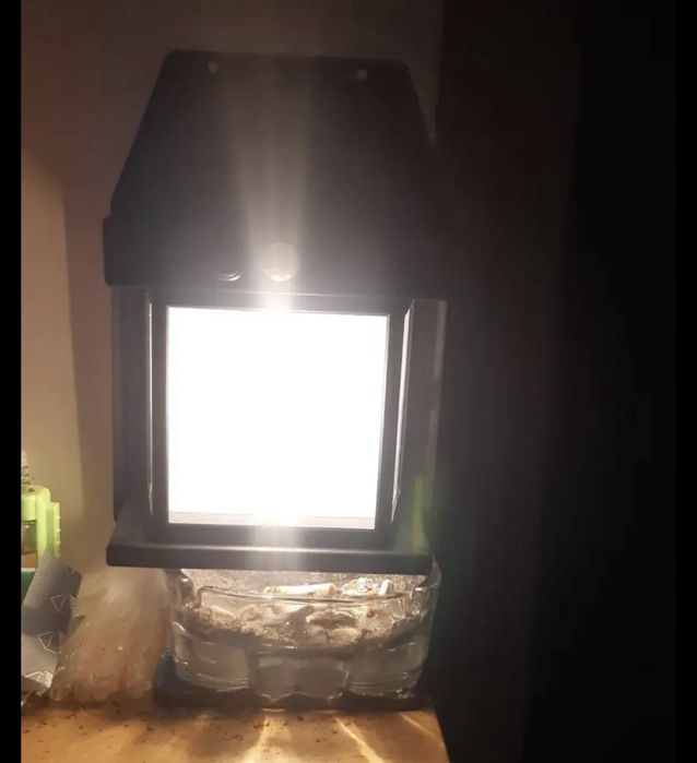 Lampki solarne nowe