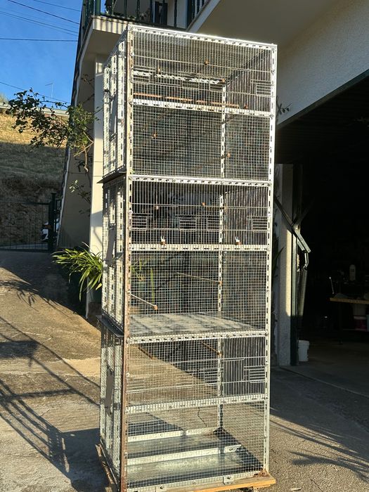 Conjunto de Gaiolas para Pássaros