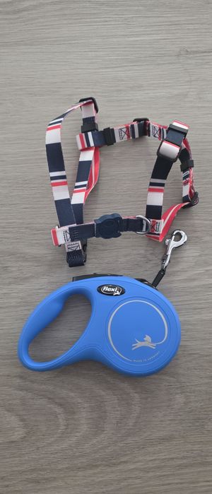 Trela e peitoral novos