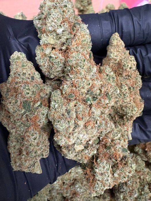 1kg susz CBD CannaBubble/THC< 0.3%