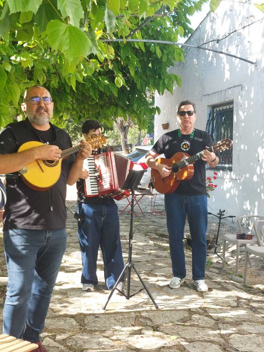Música ao Vivo / Banda Musical