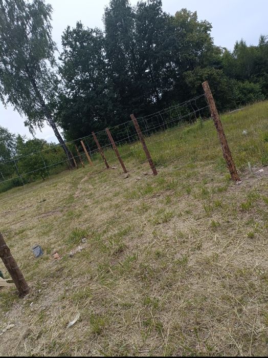 Ogrodzenie leśne tymczasowe budowlane