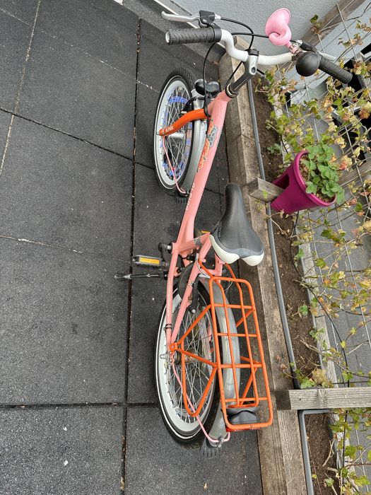 Rower Alpina dla dziewczynki 20”