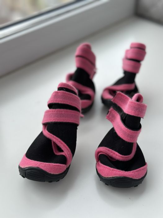 взуття для собаки