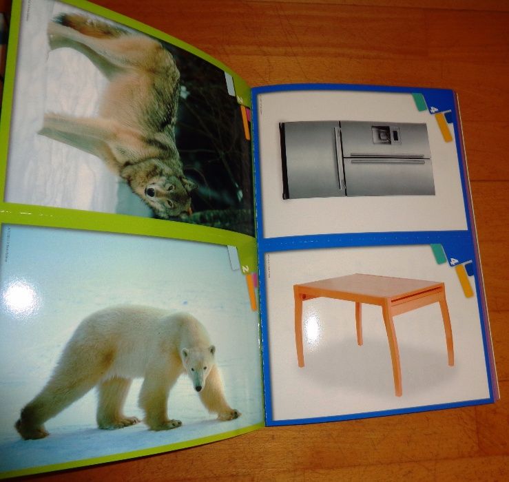 Inglês 5º ano - Flashcards e Cards