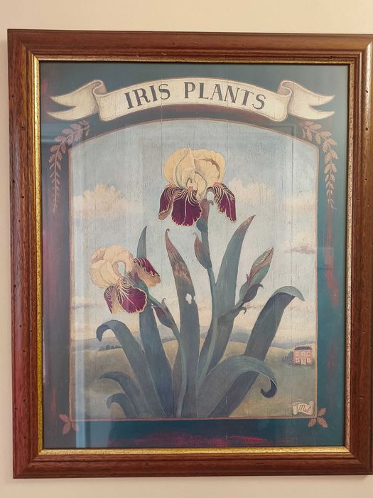 Conjunto de quadros de flores