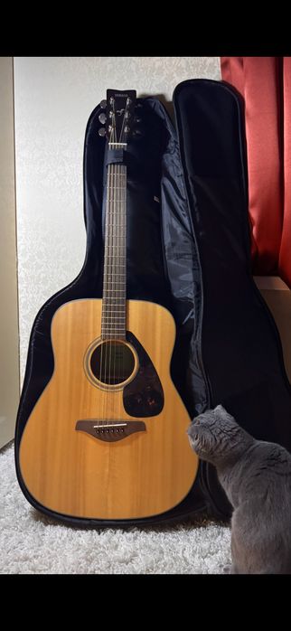 Гітара Yamaha FG800M