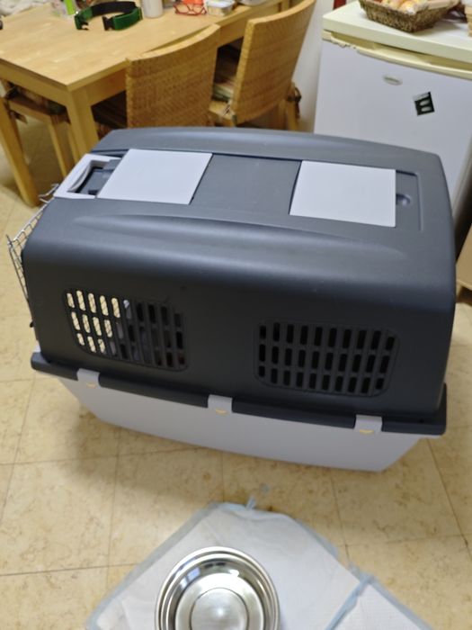 Transportador IATA 7 da Gulliver.