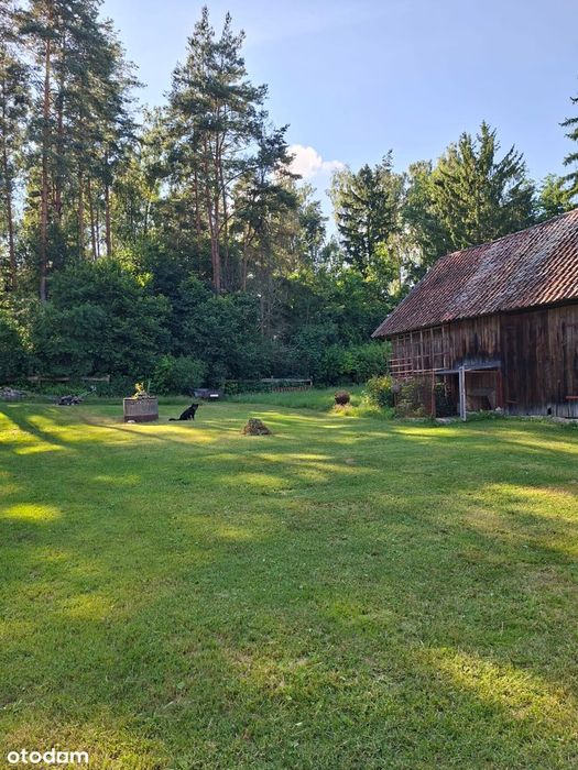 Urocze siedlisko 10,97 ha otoczone lasem – Klewno gmina Reszel - Widok 3