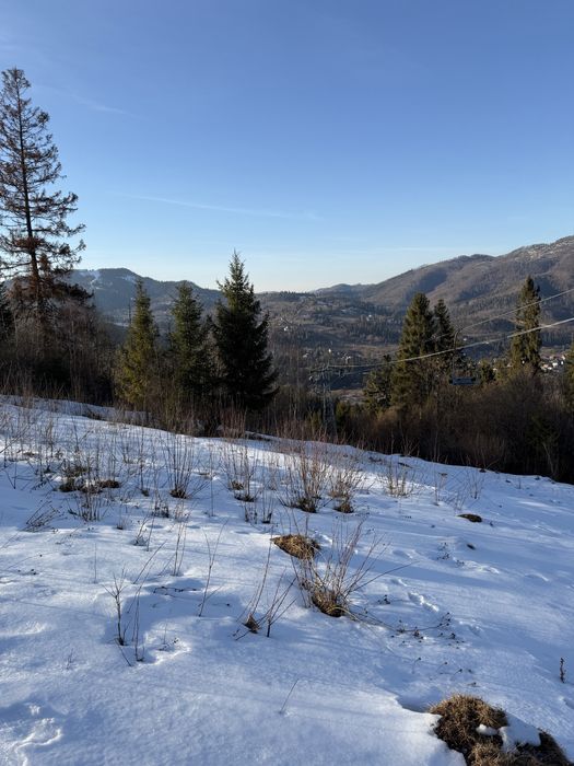 Продам земельну ділянку Слаське 20 сотих