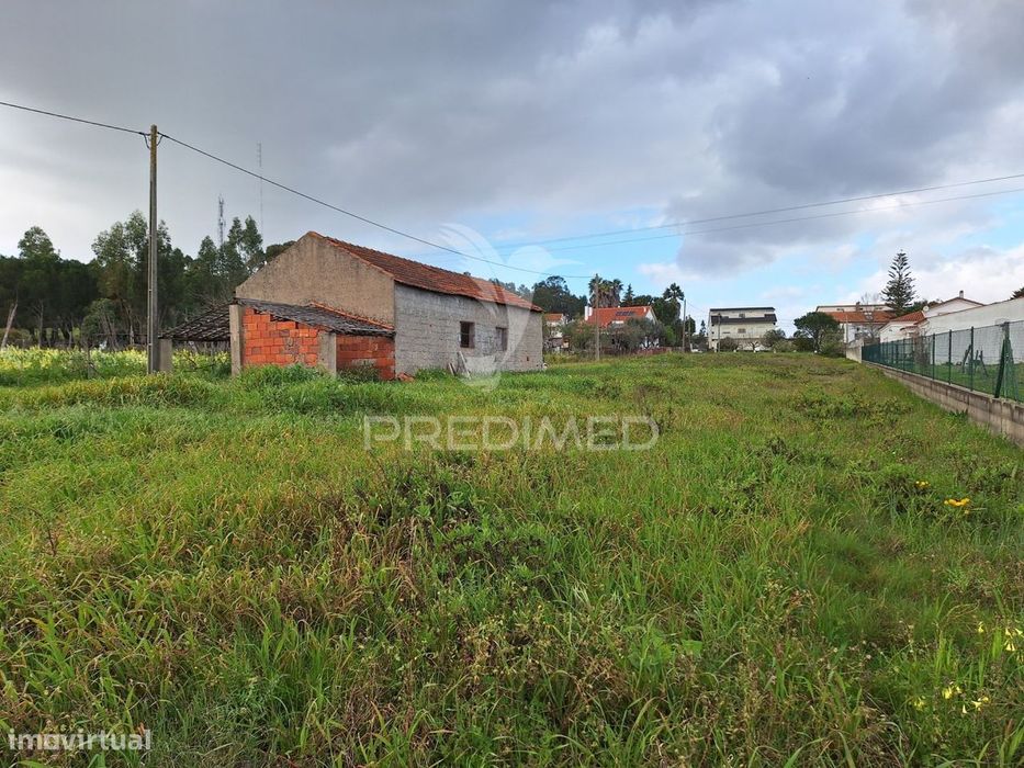 Terreno, Nossa Senhora de Fátima, Entroncamento