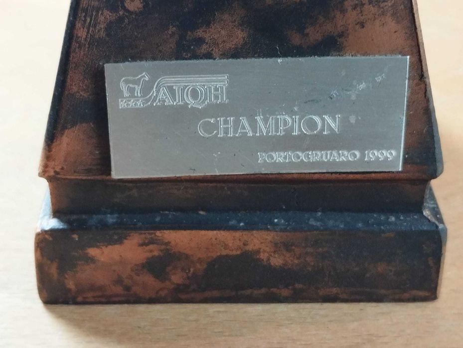 Troféu Hipsimo / Equitação / Cavalo