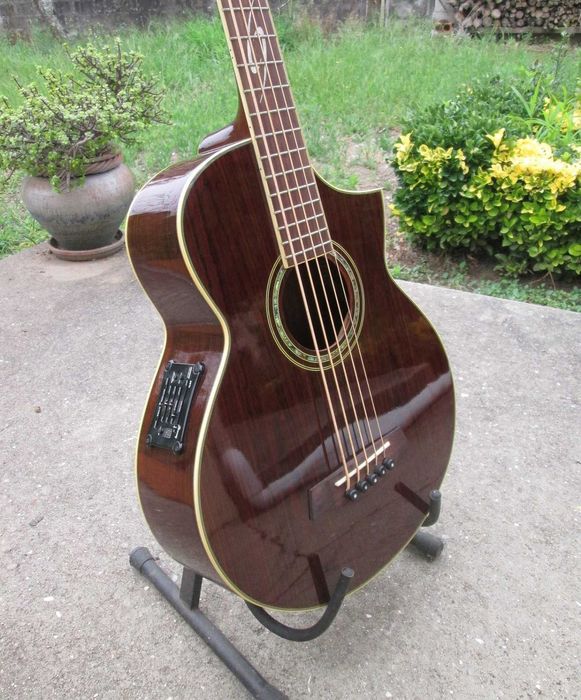 Baixo eletroacústico Ibanez de 5 cordas com saco