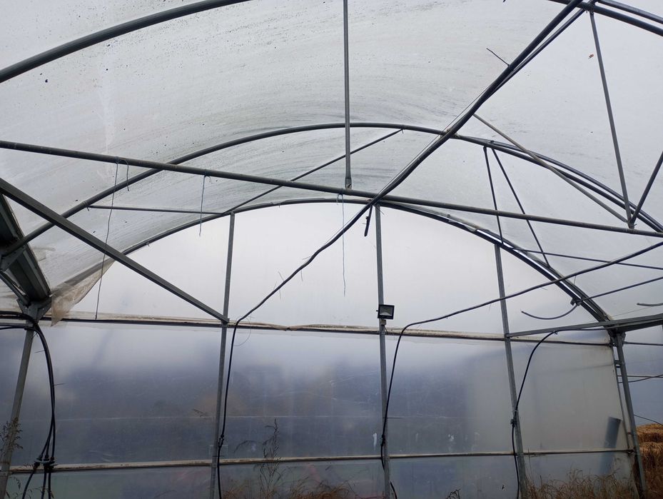 Estufa agrícola com 2100m2