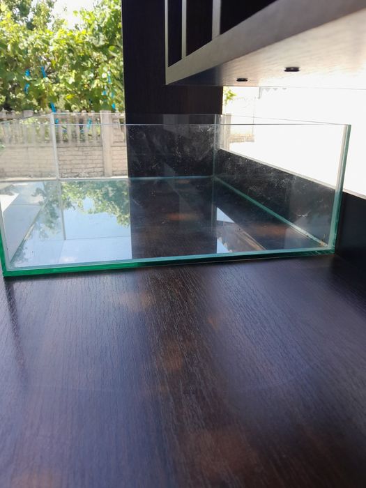 Террариум для пресмыкающихся