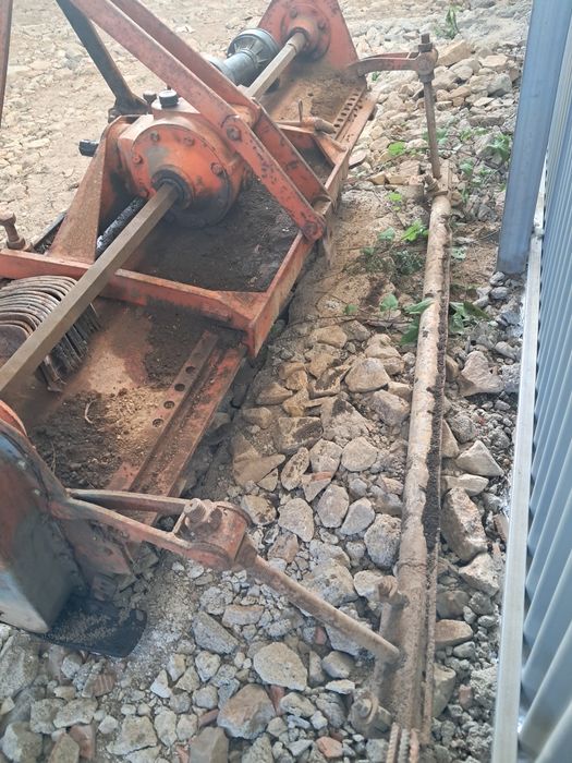 Frese Herculano 1.60m
