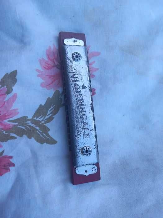 Немецкая губная гамошка