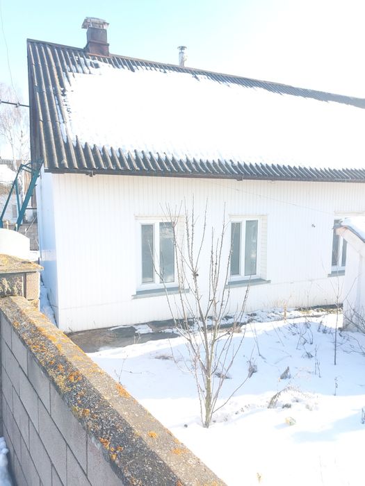 Цегляний будинок з надвірними спорудами